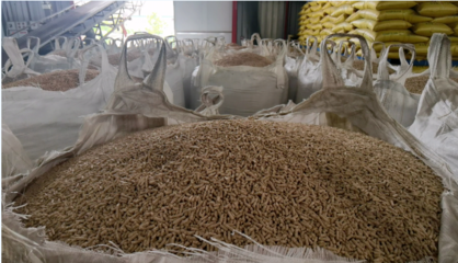 企業(yè)風(fēng)采丨荊州格力特生物科技 以質(zhì)興企，助力養(yǎng)殖業(yè)降本增效的生物飼料研發(fā)