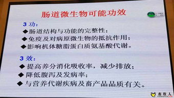 引領水產養(yǎng)殖新變革 麥康森院士論生物飼料研發(fā)的前沿探索