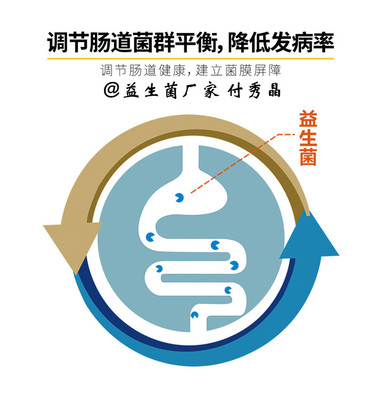 奶牛消化問題科學應對 生物飼料添加劑研發(fā)與高效應用