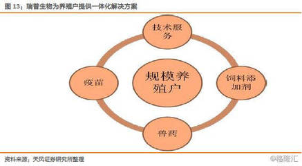 瑞普生物(300119.SZ):禽流感疫苗行業(yè)擴容,公司迎黃金發(fā)展期——兼論生物飼料研發(fā)的戰(zhàn)略路徑